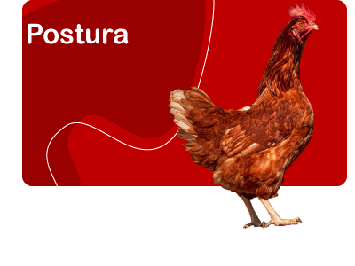 CARRUSEL-AVIESPARTA