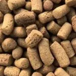alimento concentrado pellet concentrados espartaco